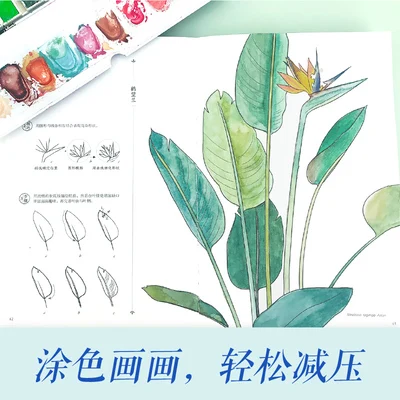 Black and White Line Drawing Flower and grass pencil drawings A beginner's introductory course coloring book