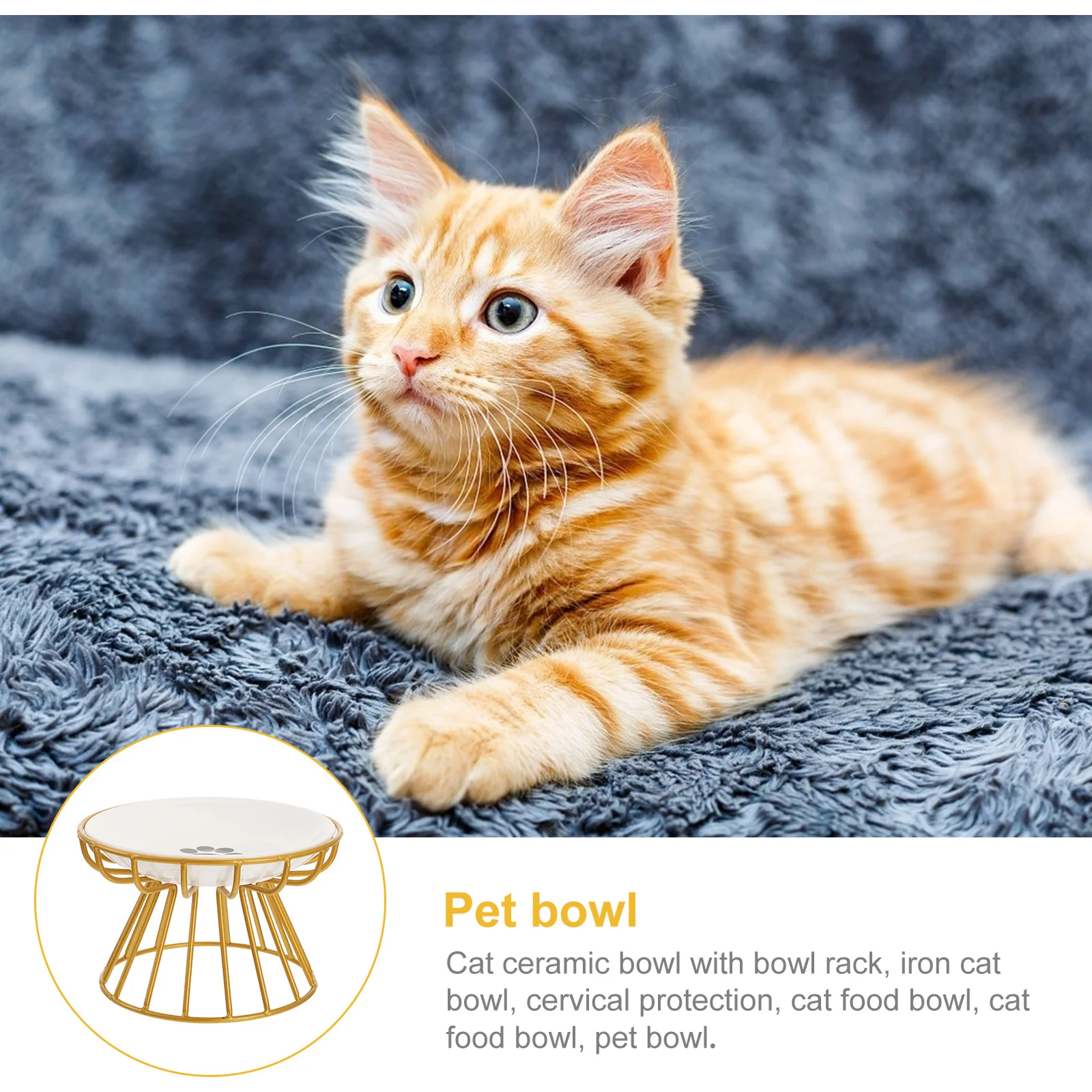 

Convenient Pet Bowl Raised Bowls Practical Cat Food Can Stand Holder Elevated Plate Dishes Perfect Size