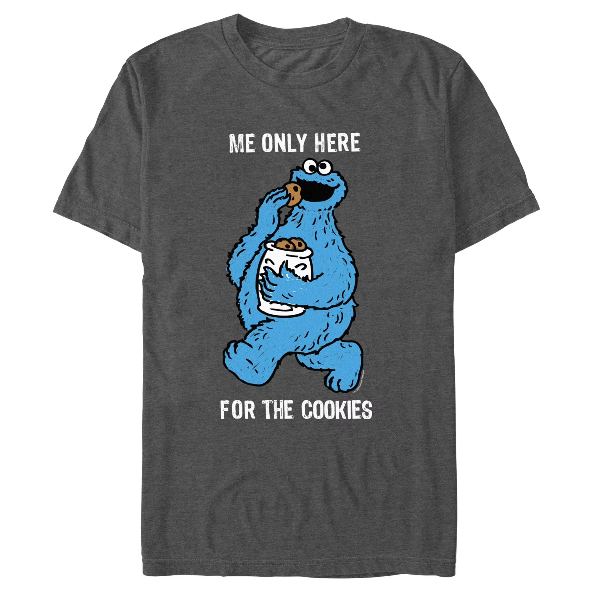 Sesame Street Sesame Street Colorful Group Adult Unisex T-Shirt Big Bird Cookie Monster T-Shirt Short Sleeve Graphic T-Shirt view 5