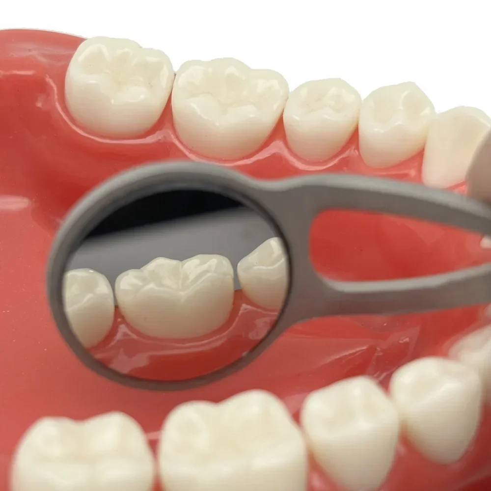 

Dental Reuse Use Mouth Mirror Dental Quality Anti-Fog Rhodium Oral Mirrors Reflectors