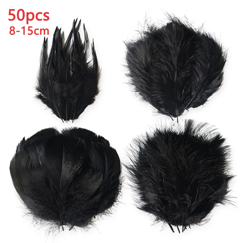 8-15Cm Black Feathe…