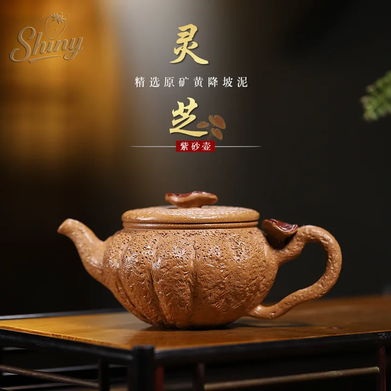 

Original Yellow Descending Clay Handmade Purple Clay Pot Ganoderma Lucidum Bubble Tea Pot Kung Fu Tea Set
