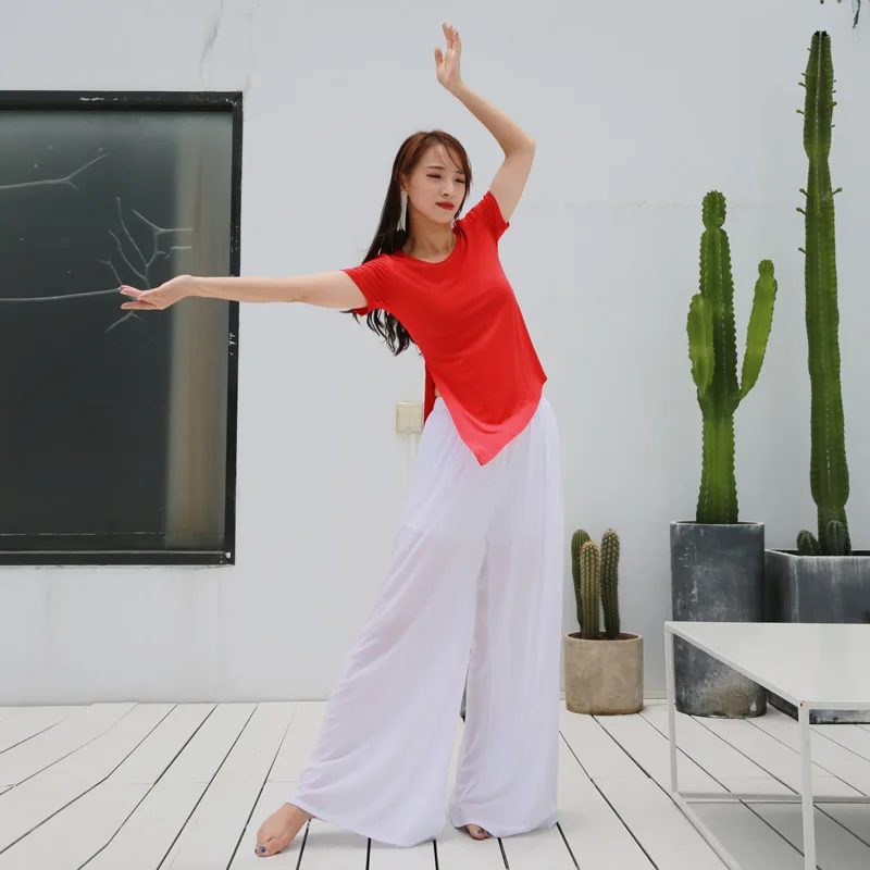 Moderne zomerdans T-shirt voor dames Top Korte mouwen Volwassen klassieke danspraktijkkleding Yoga Modern dansen