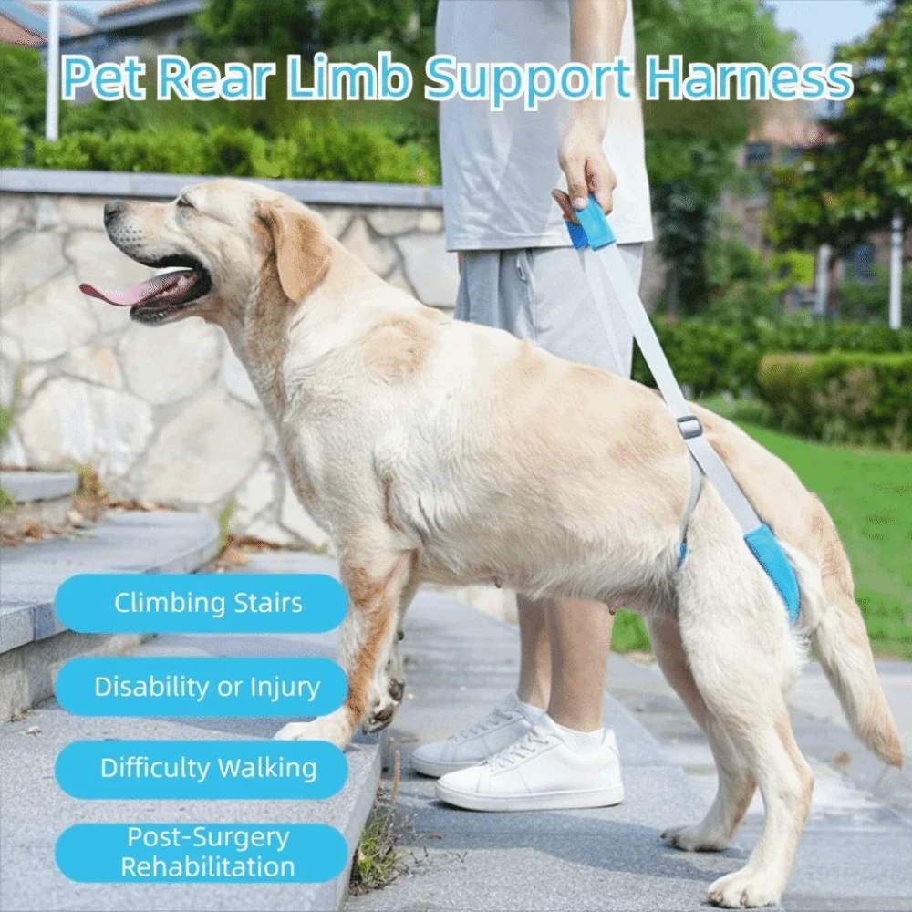 Soft Handle Dog Lift Harness Non-Slip Adjustable Straps Dog Aid Sling Convenient To Wear Comfortable Pet Mobility Aid Walking