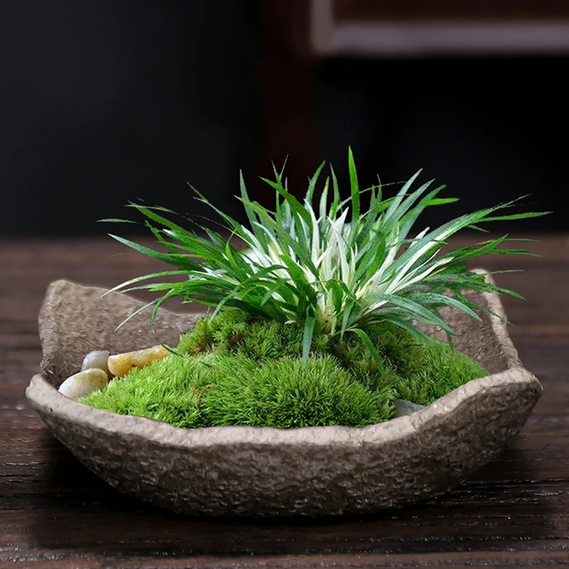 Imitation Stone Ceramic Pot, Square Flower Pots, Plant, Hydroponic Moss Ball, Potted Succulent, Desktop, Coffee Table, Bonsai