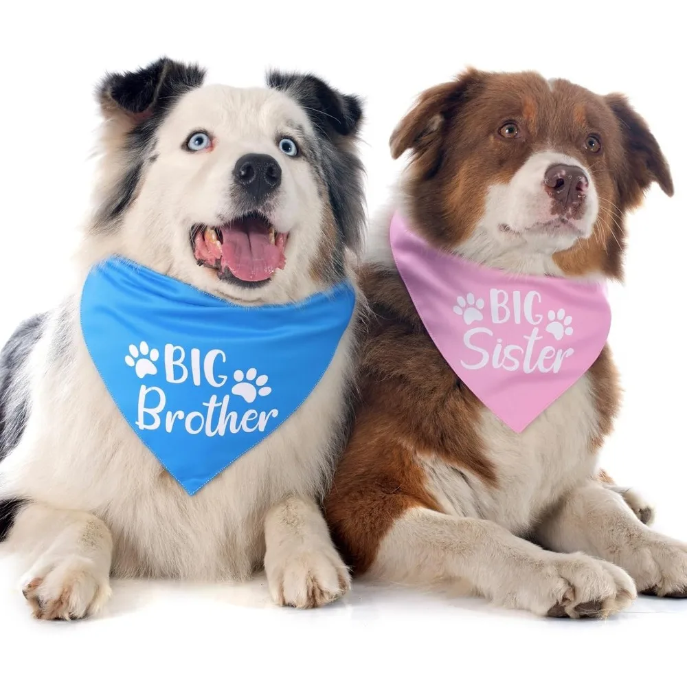 Pregnancy Announcement Dog Bandanas: Big Brother and Sister Scarves for Small to Medium Dogs view 6