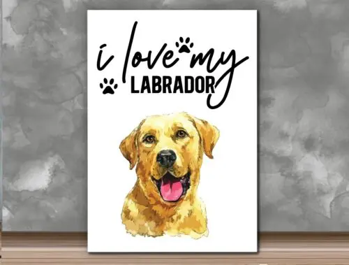 Metal Aluminium Wall Sign For Dog Lover 