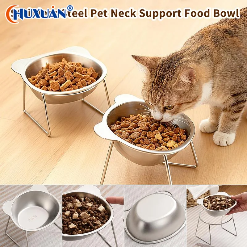 Q Stainless Steel Tall Pet Food Bowls Are Perfect For Daily Feeding Of Indoor Cats And Small Dogs view 4