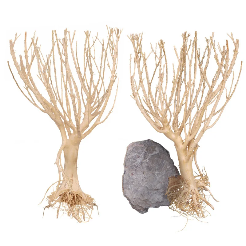 Driftwood Moss Tree Plants for Natural Driftwood Branches Aquarium Wood Aquarium Decoration Fish Tank Landscaping Decorations