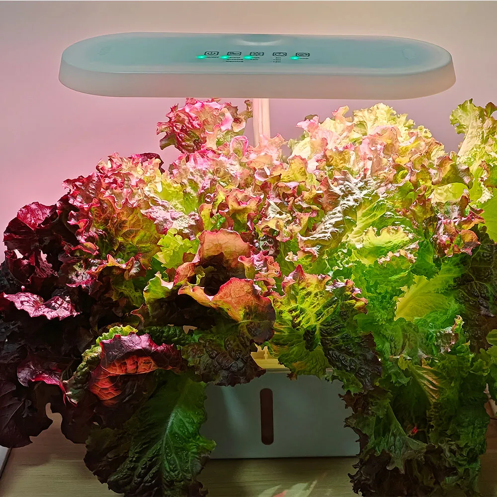 Indoor Small Kitchen Household Planters Smart Automatic Hydroponic Planting System Kit with Pump for Vanilla Gardens