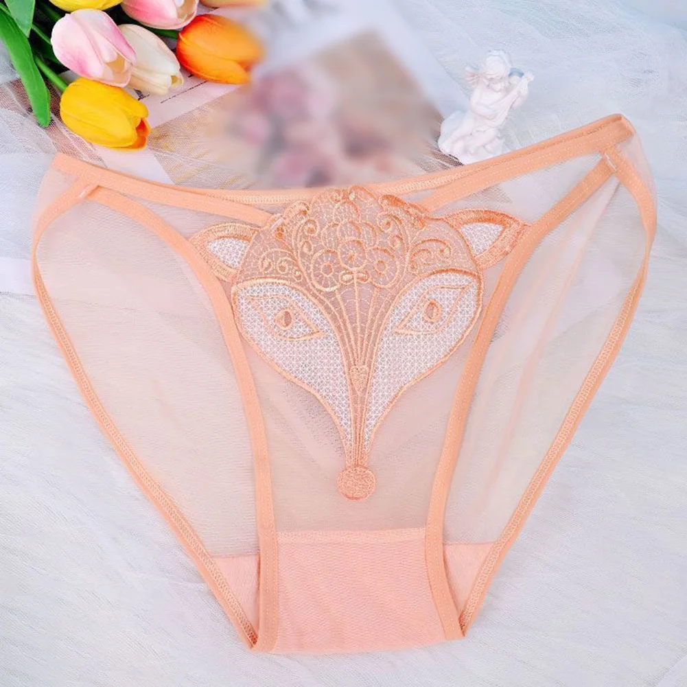 

Women Sheer Mesh Perspective Briefs Lace Embroidered Transparent Underpants Low Waist Breathable Underwear Soft Lingerie