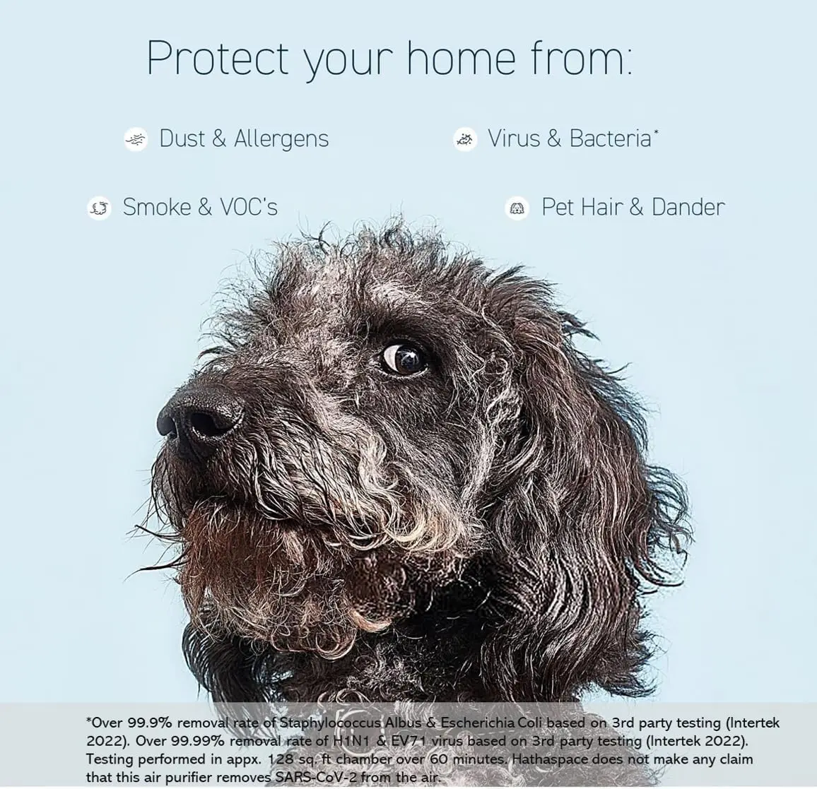 Smart Air Purifiers, Home HEPA Air Purifier, Travel Cleaner & Filter for Allergies, Smoke, Pets, Eliminator of 99.9%