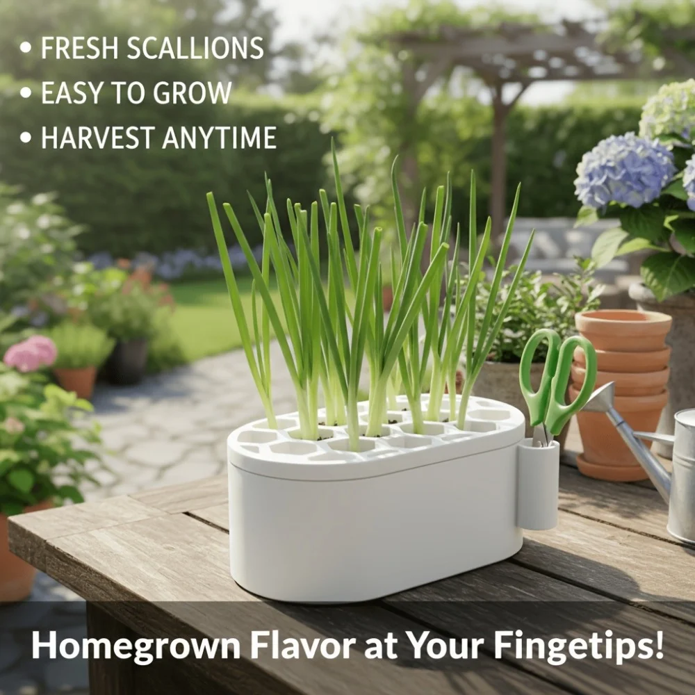 Multifunctional Hydroponic Pot for Regrowing Scallions And Garlic,Comes with a Scissor Support Frame for Easy Access to Scissors