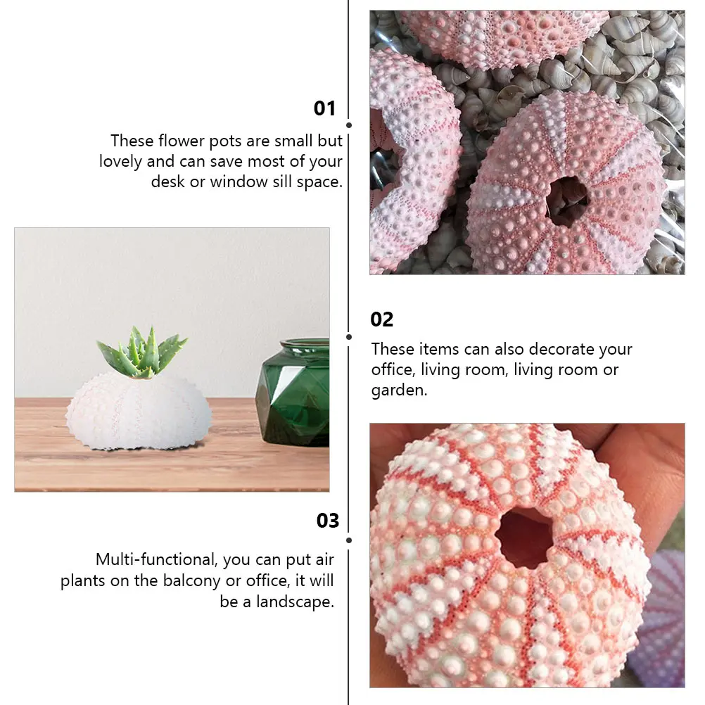 

DIY Conch Shell White Sea Planter Creative Flowerpots Succulent Shape Design Air Plants