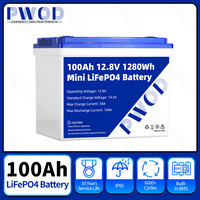 PWOD LiFePO4 Battery Pack 12V 100AH With BMS Brand New Lithium Iron Phosphate Battery for Boat/Car/Home Energy Storage System