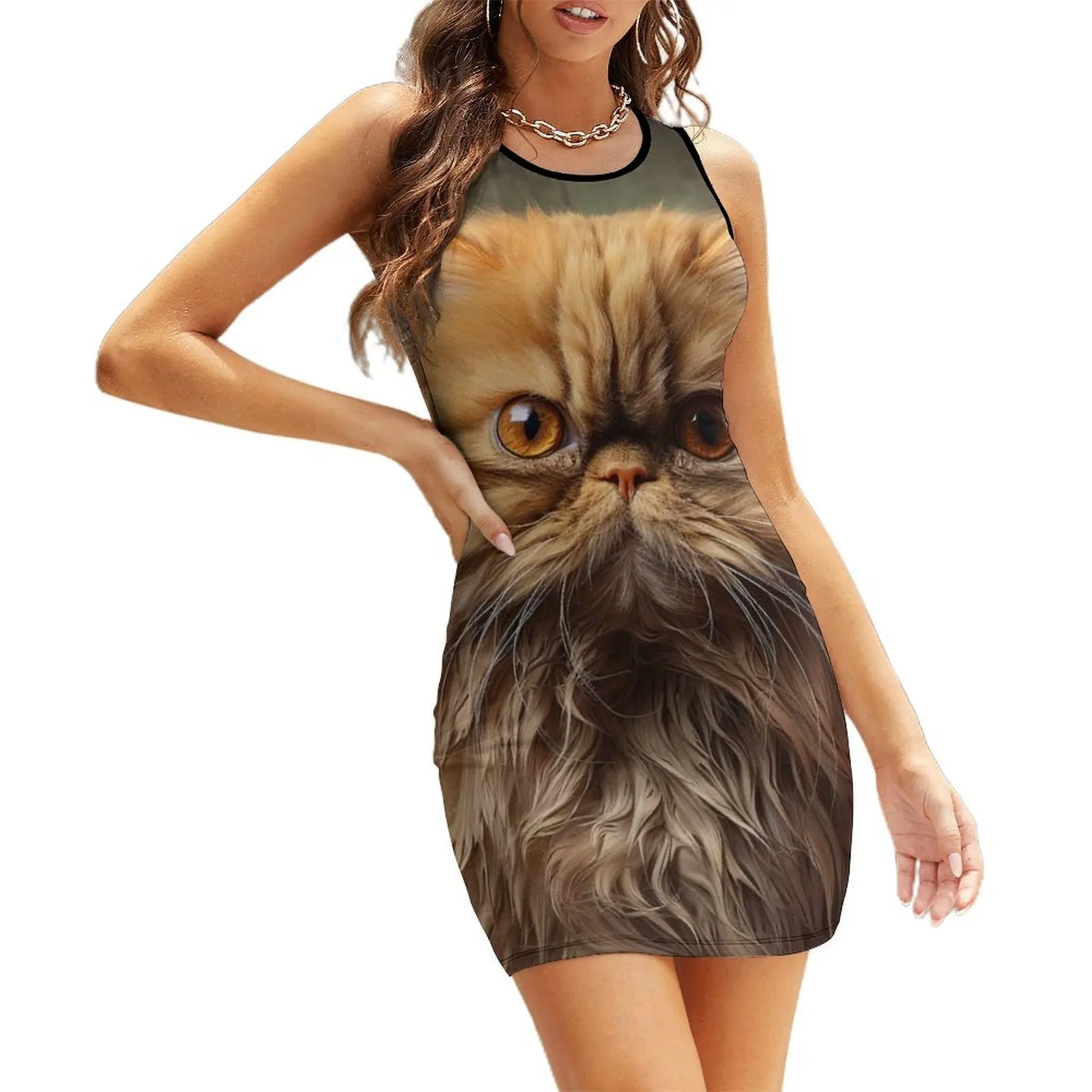 

Orange Persian Cat 02 Sleeveless Sundress beach outfits for women women's evening dresses 2025 Clothing female Dress woman