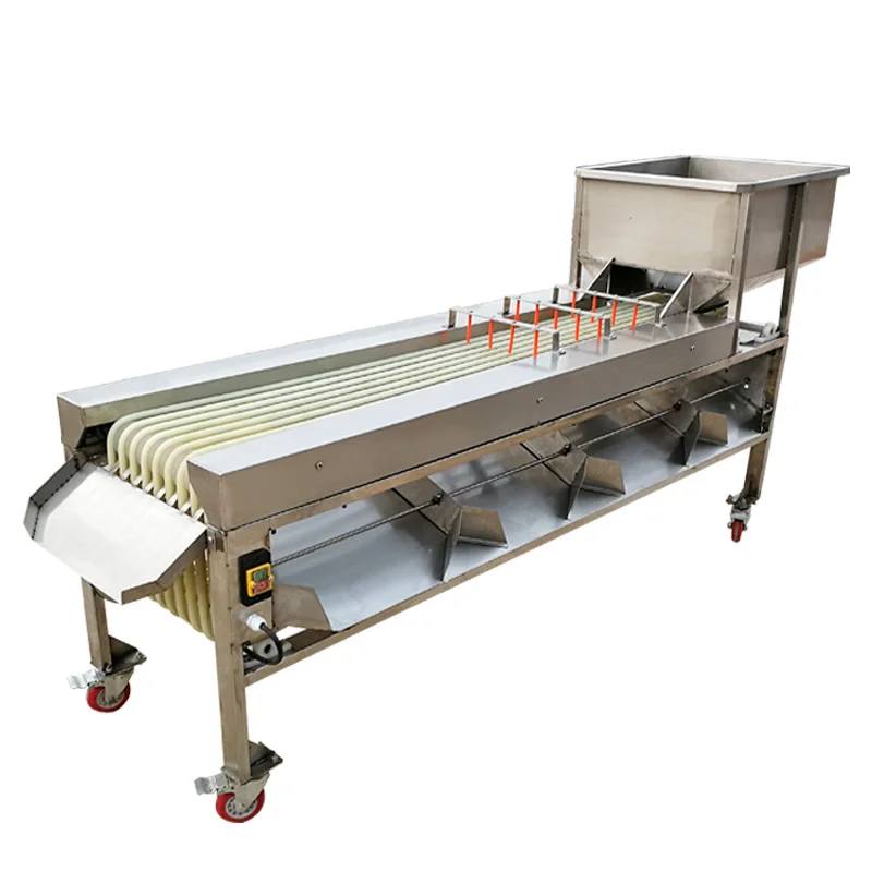 Hot Selling Fruit Grader Lemon Peach Plums Olive Size Grader Equipment Price Crayfish Oyster Grading Machine