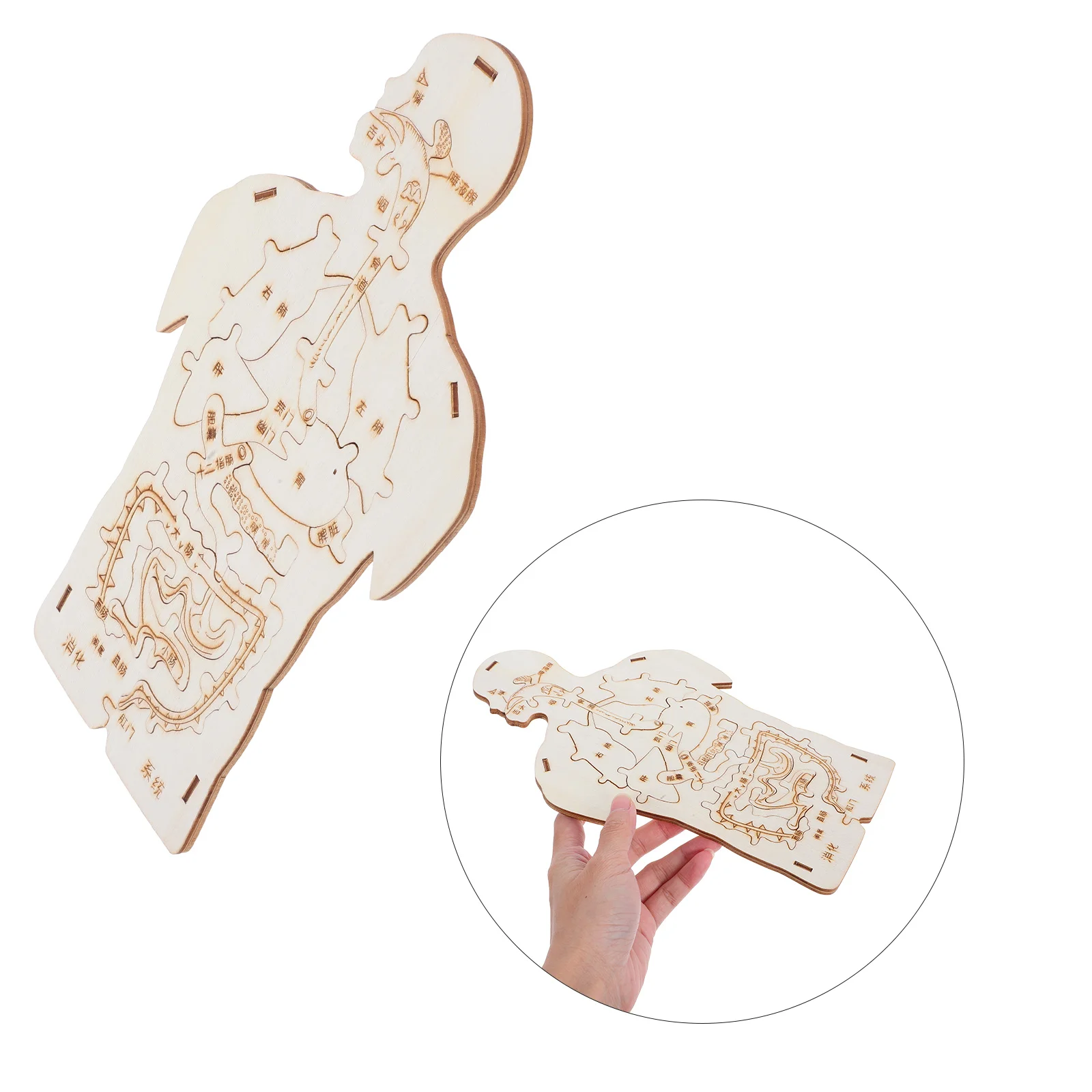 

3pcs Wooden Anatomy Puzzle For Kids Human Body Organ Educational Montessori Learning Tool Toddler Skill Development - Natural