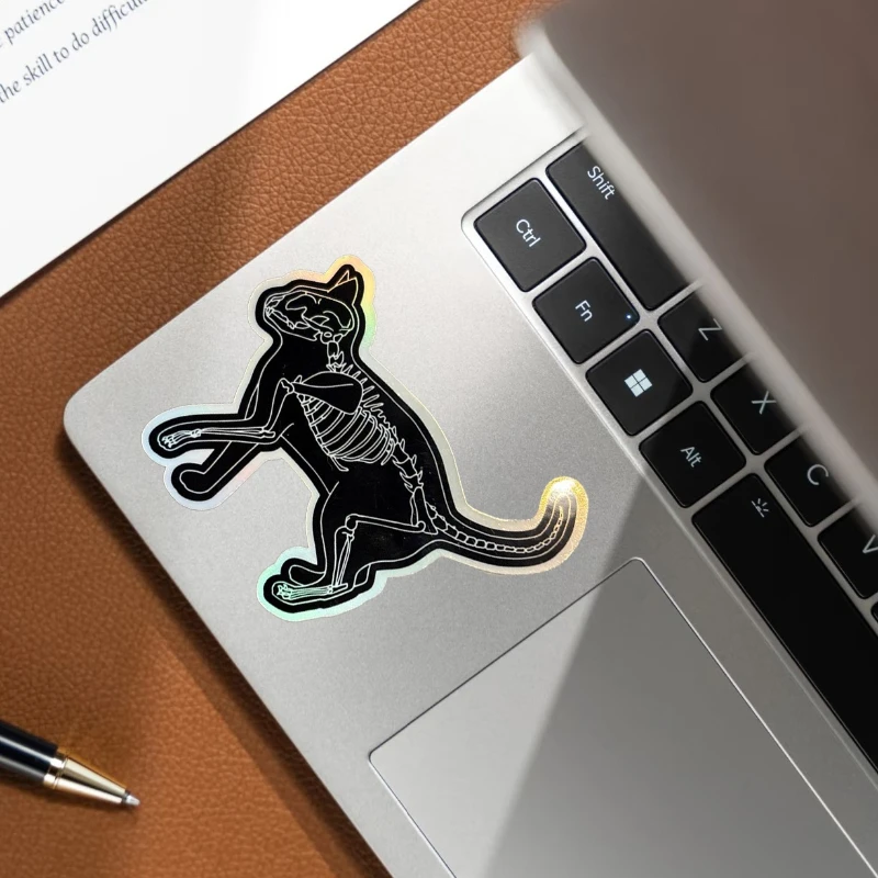 

skeleton sticker, cat sticker, cat skeleton, black cat sticker, laptop，Holographic cat skeleton sticker, skeleton sticker,
