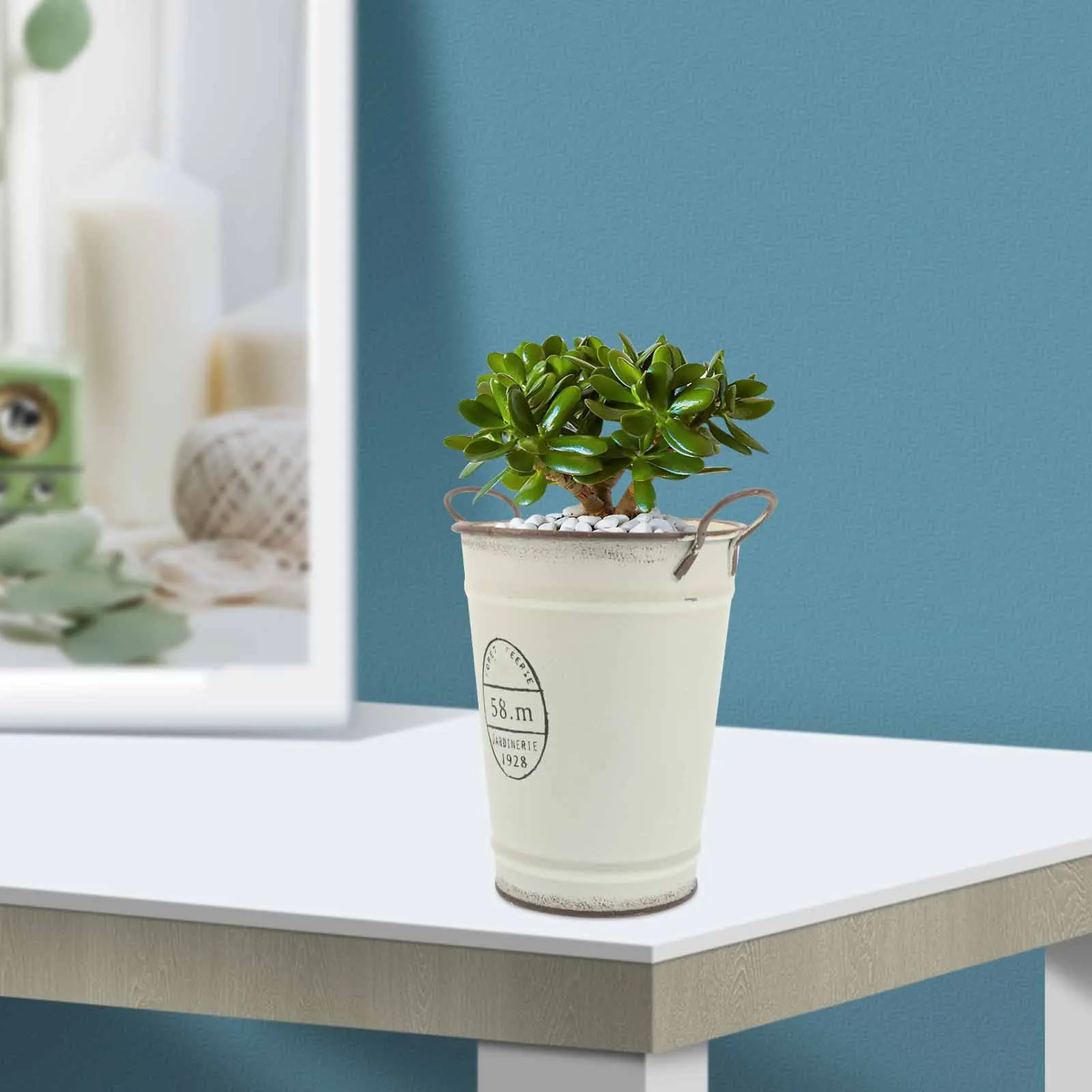

Round Iron Sheet Flower Bucket Pot Plant Garden Vintage Planter Retro Balcony Indoor Decor Planting Container Small Item Holder