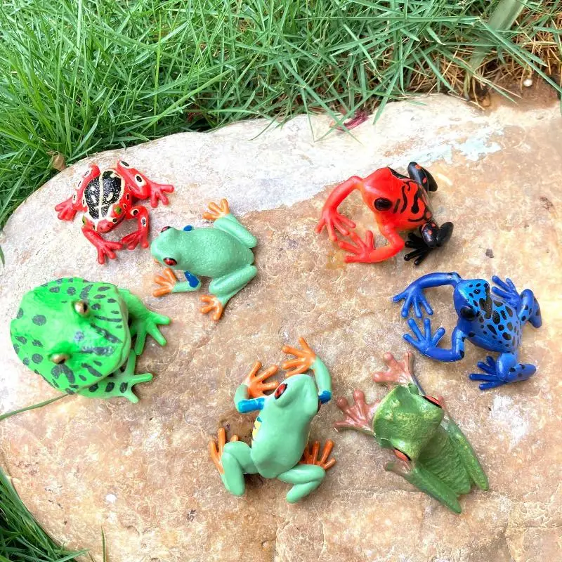 1Pcs Hand Painted Amphibious Animal Figurine Educational Realistic Toad Frog Figure Rubber Animal Model Toy For Kids