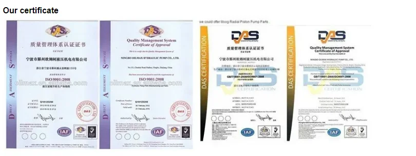 2025 رائجة البيع JCB 20/925552 مضخة نقل الحركة #6