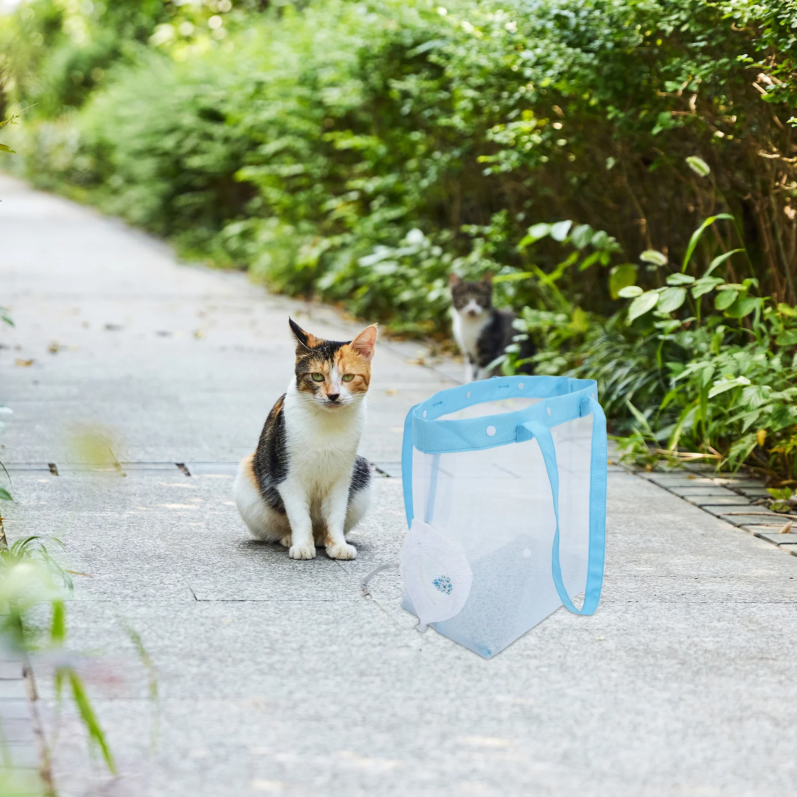 

Transparent Mesh Cat Carrier Tote 35x32x18cm Breathable Lightweight See-Through Panels Portable Cat Carrier for Travel Vet