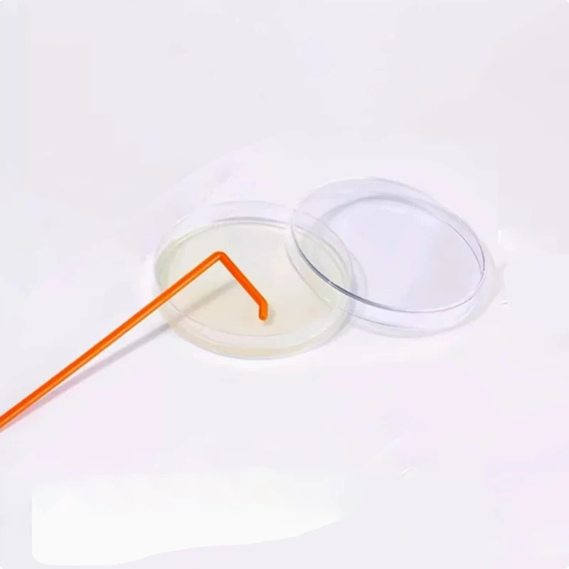 Determination Of Total Bacterial Count On 250g Nutrient Agar And Preservation Of Bacterial Strains On 33g Culture Medium