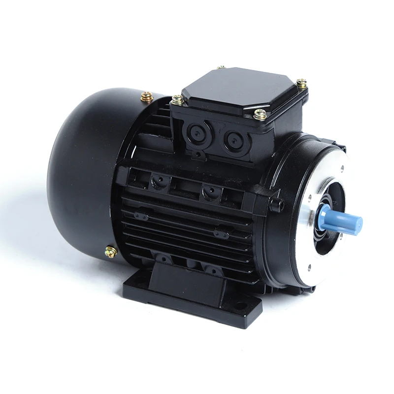 32kw 37kw Three-Phase AC Induction Motor Variable Speed Asynchronous Electric Motor with Enclosed Protection 50HZ Frequency
