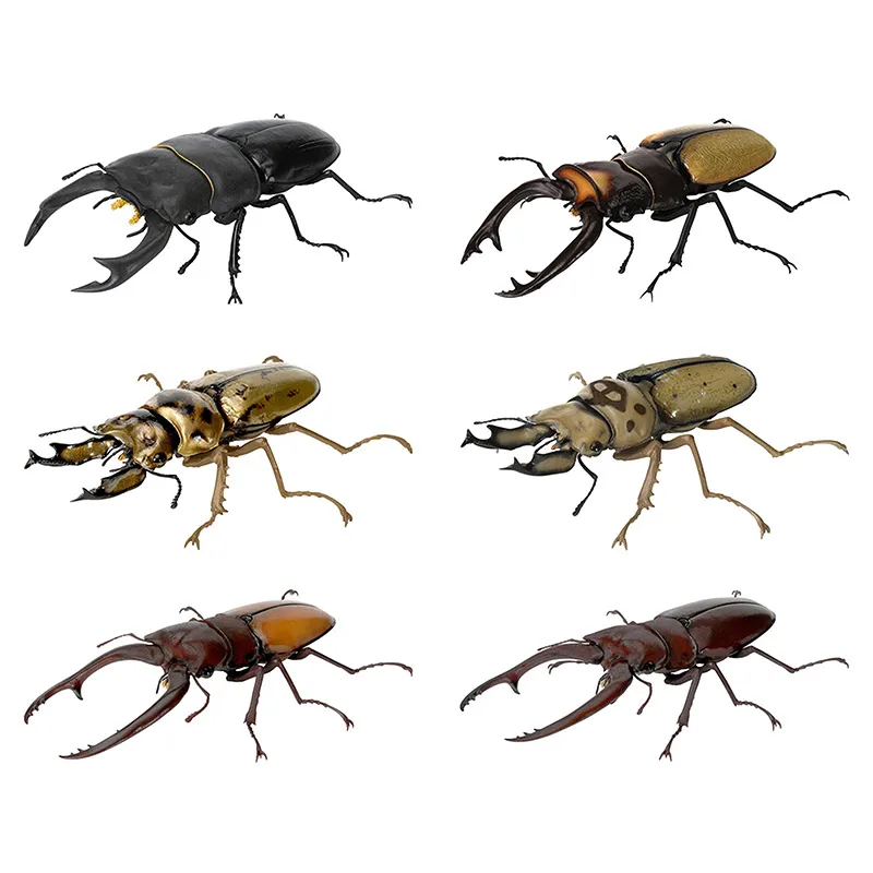 بانداي الأصلي غاشابون الموسوعة البيولوجية سلسلة الأيل بيتل 09-الشبح الذهبي/منشار أحمر اثنين شخصية خنفساء الأيل