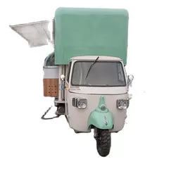 Three Wheels Mobile Vending Cart Food Hot Dog Truck Tricycles Electric Car Ice Cream Tricycle with DOT