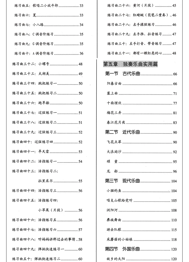 Learning Pipa From Zero Chinese Music Book for Adults