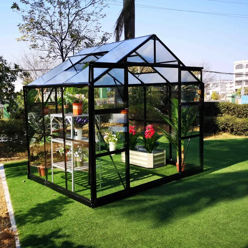 Mini Greenhouse for China Manufacturer Wholesale Galvanized Steel Frame with Poly Film or Glass Cover Garden Greenhouse
