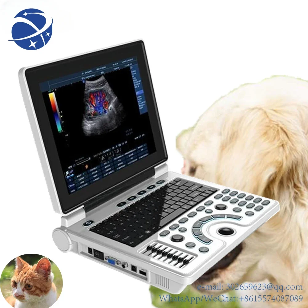 yyhc SUN-806H cow horse camel pregnancy portable vet ultrasound machine