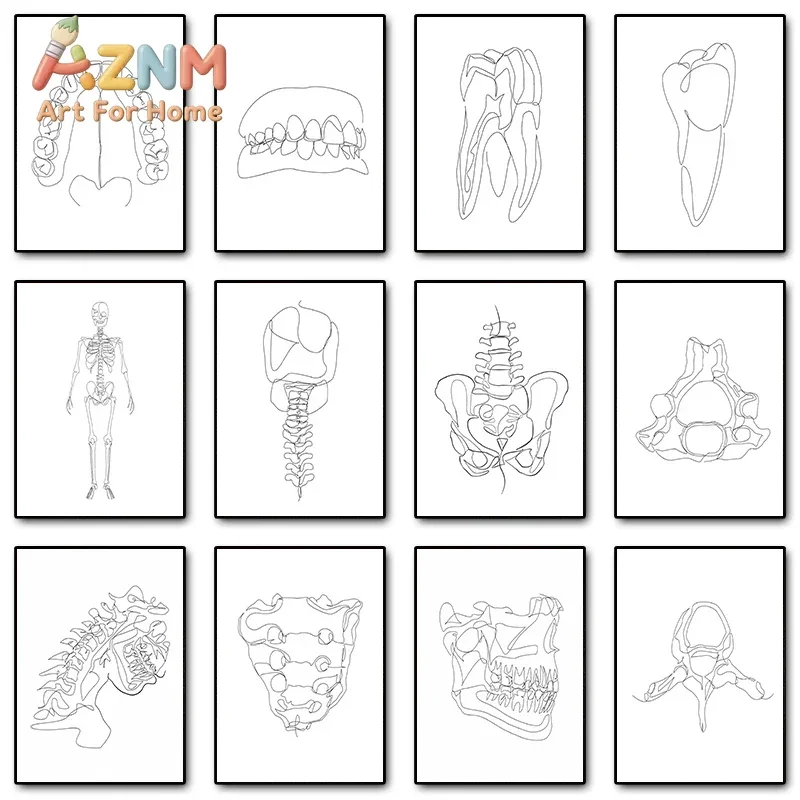 AZNM Human Anatomy Line Art Canvas Wall Art Teeth Skeleton Spine Bone Sketch Frameless Print Poster for Medical Office Decor
