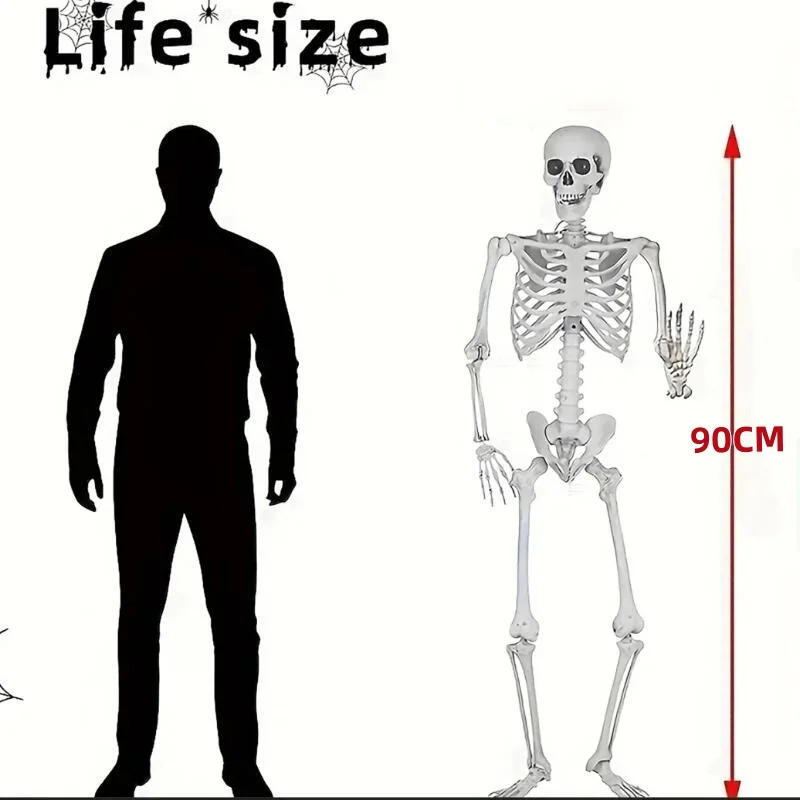 90cm Halloween Skeletons Fake Full Body Skull Bones Movable Halloween Party Decor for Home Bar Haunted House Horror Props