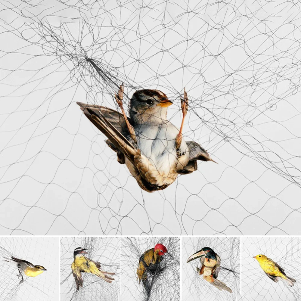 Anti-Bird Plant Pond Net Protection Netting Fine Mesh 20M Ga