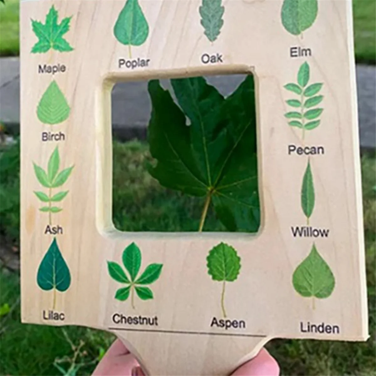 Nature Guide Finder Toddler Wooden Handheld Toy Double-Sided Board Outdoor Plant