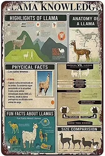 Pancarte en métal rétro Llama Knowledge, cadeau pour les passionnés d'animaux, décoration murale rétro pour la maison, le club ou le bar