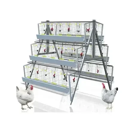 Hot Galvanized Poultry Using 3-Tier 4 Tier Layer A Type Layer Chicken Cage For Sale