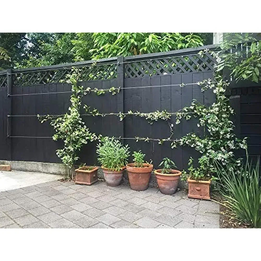 Heavy Duty Universal Wall-Mounted Espalier/Trellis Kit Climbing Plants 316 Stainless Steel Wire Included Complete Installation