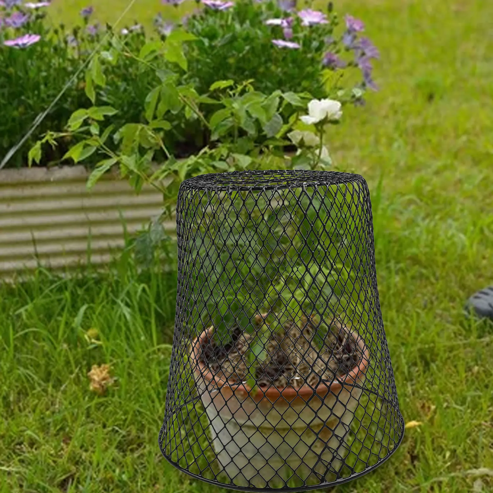 

Iron Plant Shield Garden Protection Tool Garden Use Outdoor Gardening Long-lasting Performance Versatile Gardening Cover
