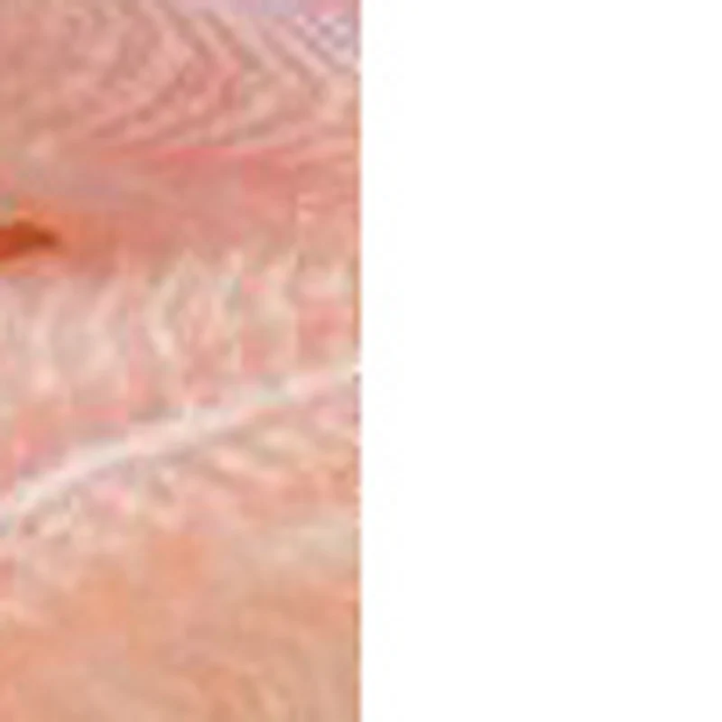 

Hand Power Meat Cutter Meat Slicer Cutting Machine Commercial Automatic Fresh Meat Cutting Machine