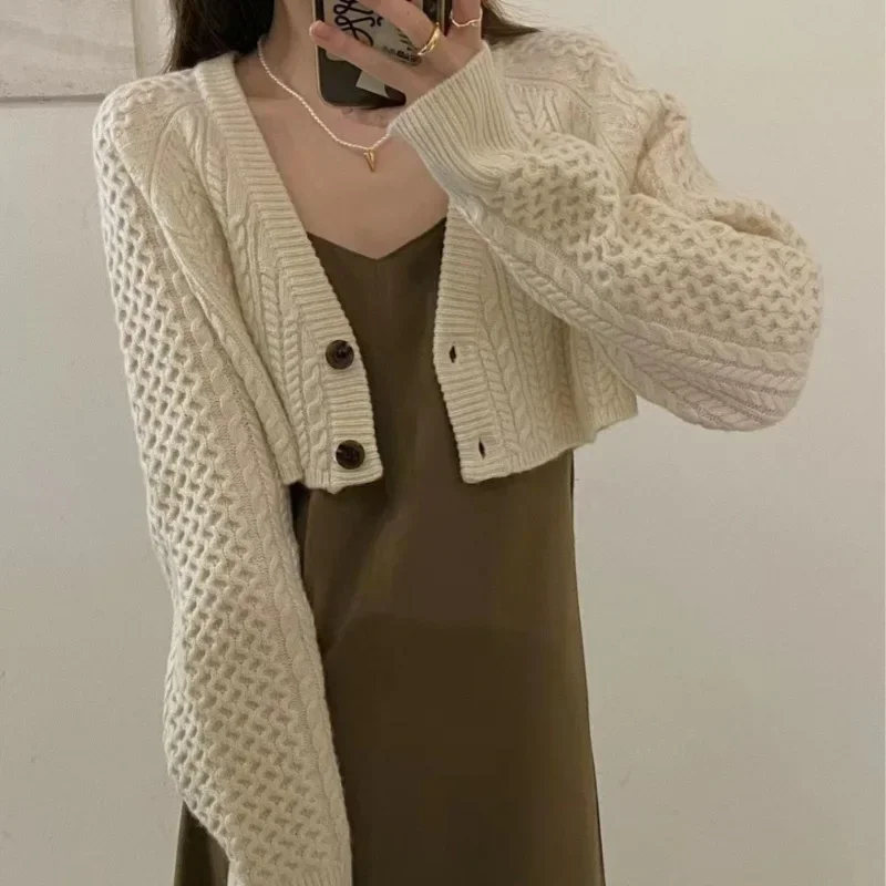 Women's New Autumn Fashion Retro Twist Knitted Cardigan Coat Loose Solid Color Short Fashion Soft Waxy V-neck Two-button Sweater