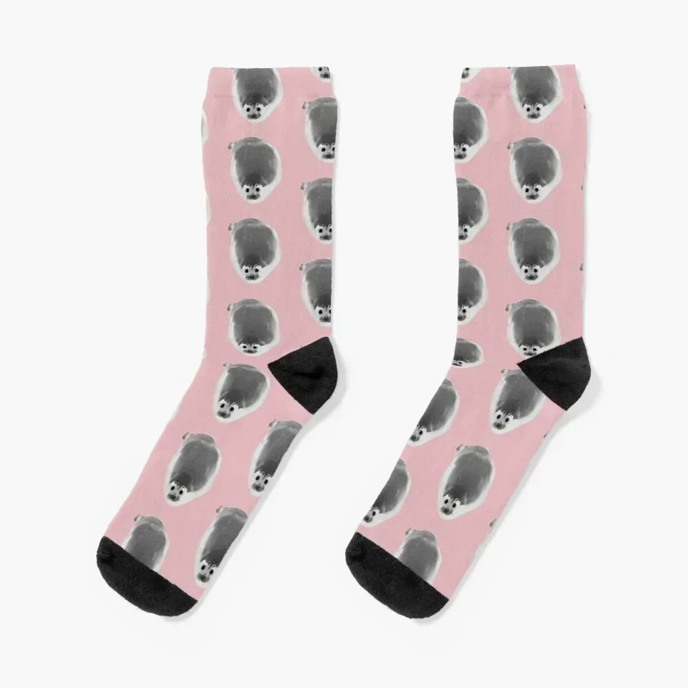 Cute Seal Socks sheer hiking Socks Men's Women's