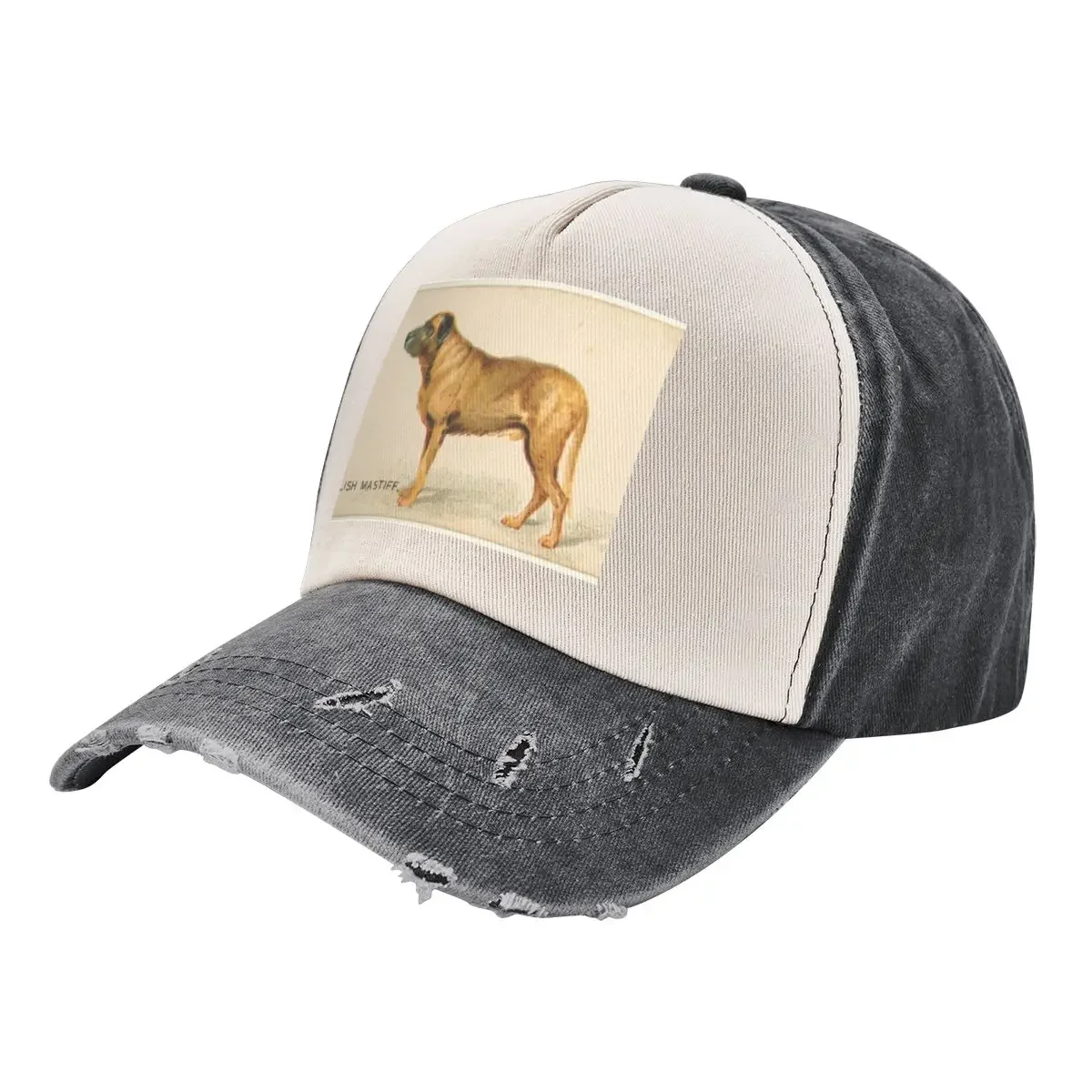

English Mastiff, from the Dogs of the World series Бейсбольная кепка моряк для мужчин тактическая кепка Hat Man Luxury Boy Women's