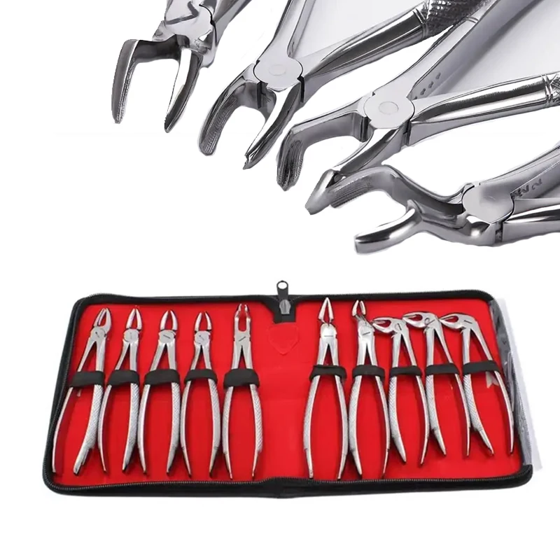

10pcs Dental Extraction Forceps Kit Surgical Tooth Forceps for Adults Dentist Tools Oral Surgery Instruments