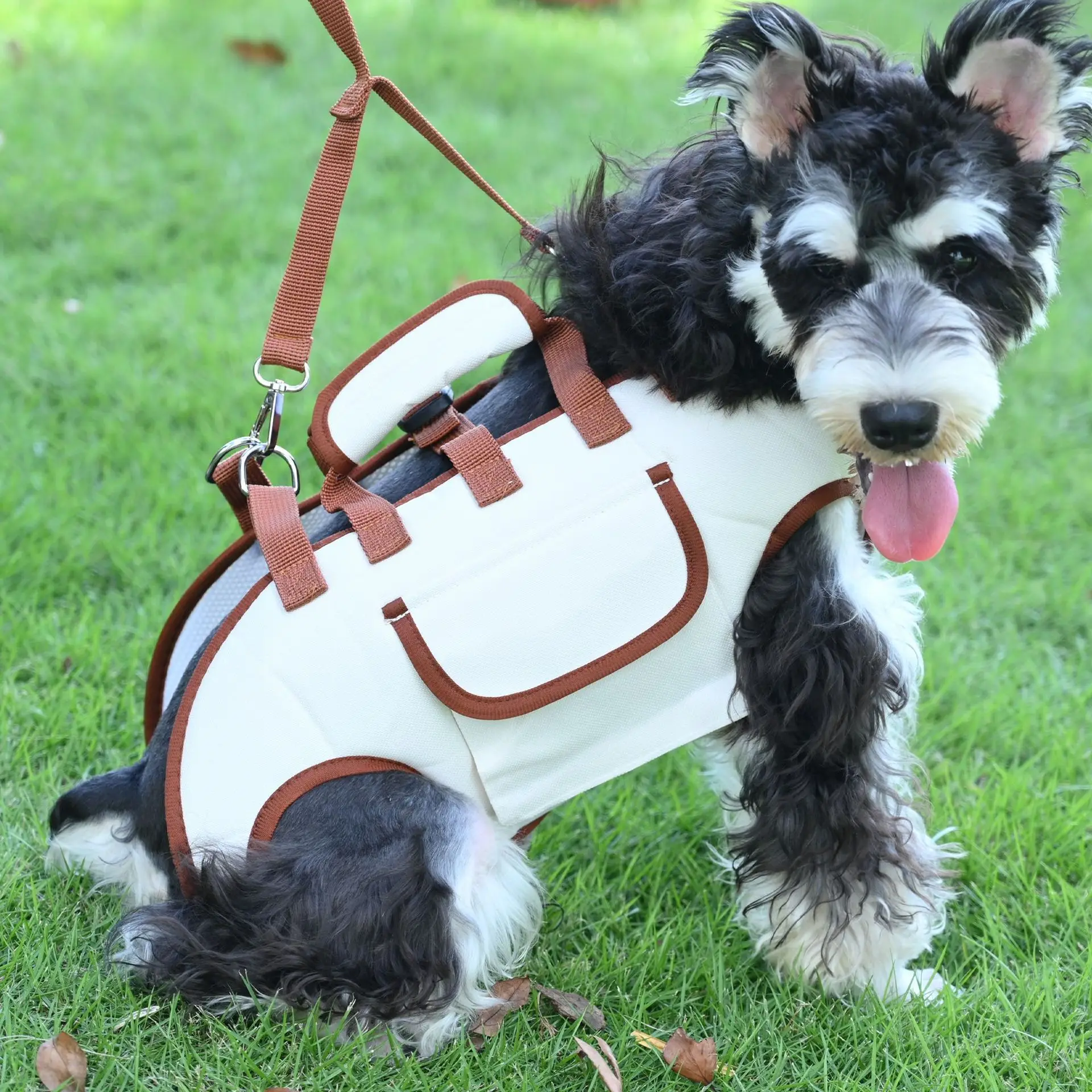 

New Portable Dog Carrier Backpack, 4-Legs Out Breathable Travel Crossbody Shoulder Bag with Leash Set for Small Dogs Outdoor