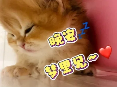 For Mjx R/C Hyper G…