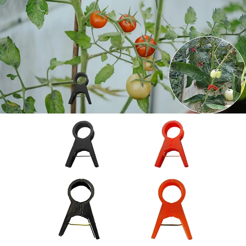 

Популярные зажимы для растений, регулирующие многоразовые зажимы для садовых растений, зажимы для поддержки стеблей цветов, винограда, овощей, альпинизма
